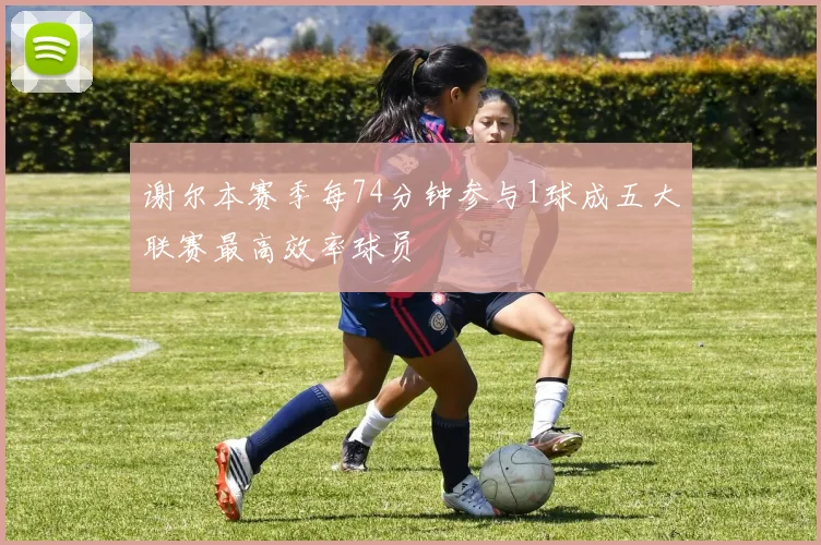 谢尔本赛季每74分钟参与1球成五大联赛最高效率球员