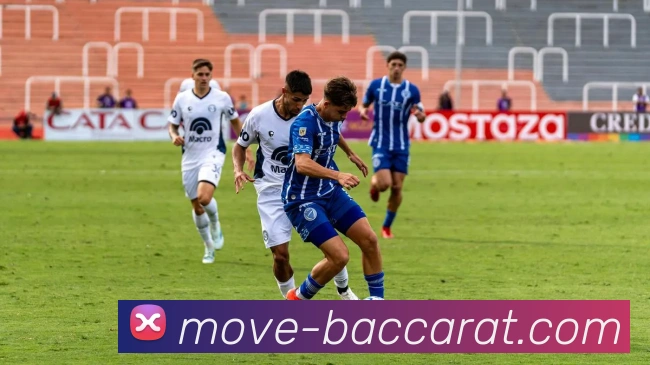 百家乐网站平台生态图