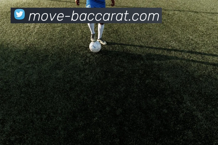 百家乐网站APP 封面图